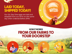 Fresh Eggs Delivered as Easy as Buying in Store – QL Eggs Day 1 Omega-3 & DHA (20pcs)