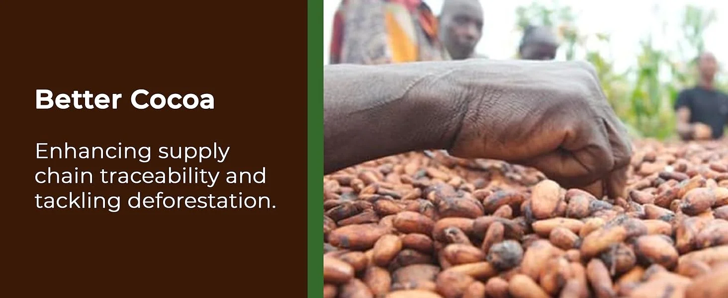 【新用户专享】雀巢奇巧和朋友大礼盒 | 69 条巧克力饼干 – 奇巧、蓝丝带、太妃脆 | 散装巧克力礼盒 1.357 公斤 x 2 盒